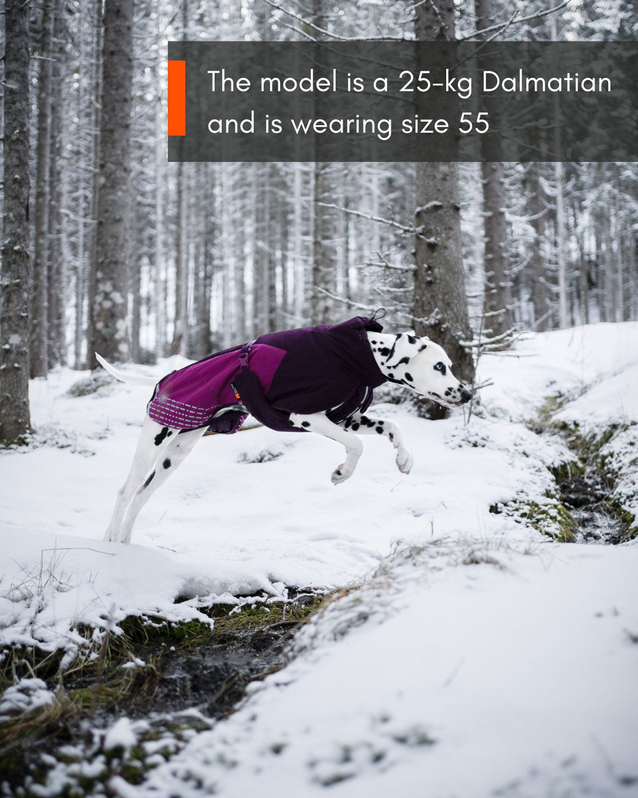 Glacier jacket 2.0 (6)