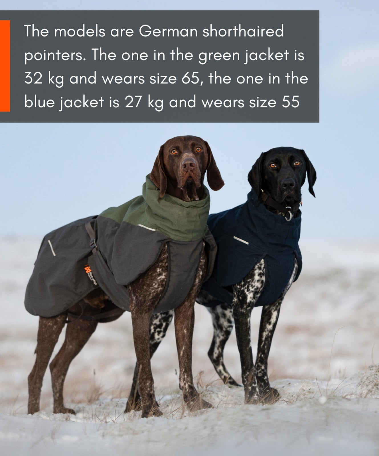 Glacier wool jacket 2.0 (5)