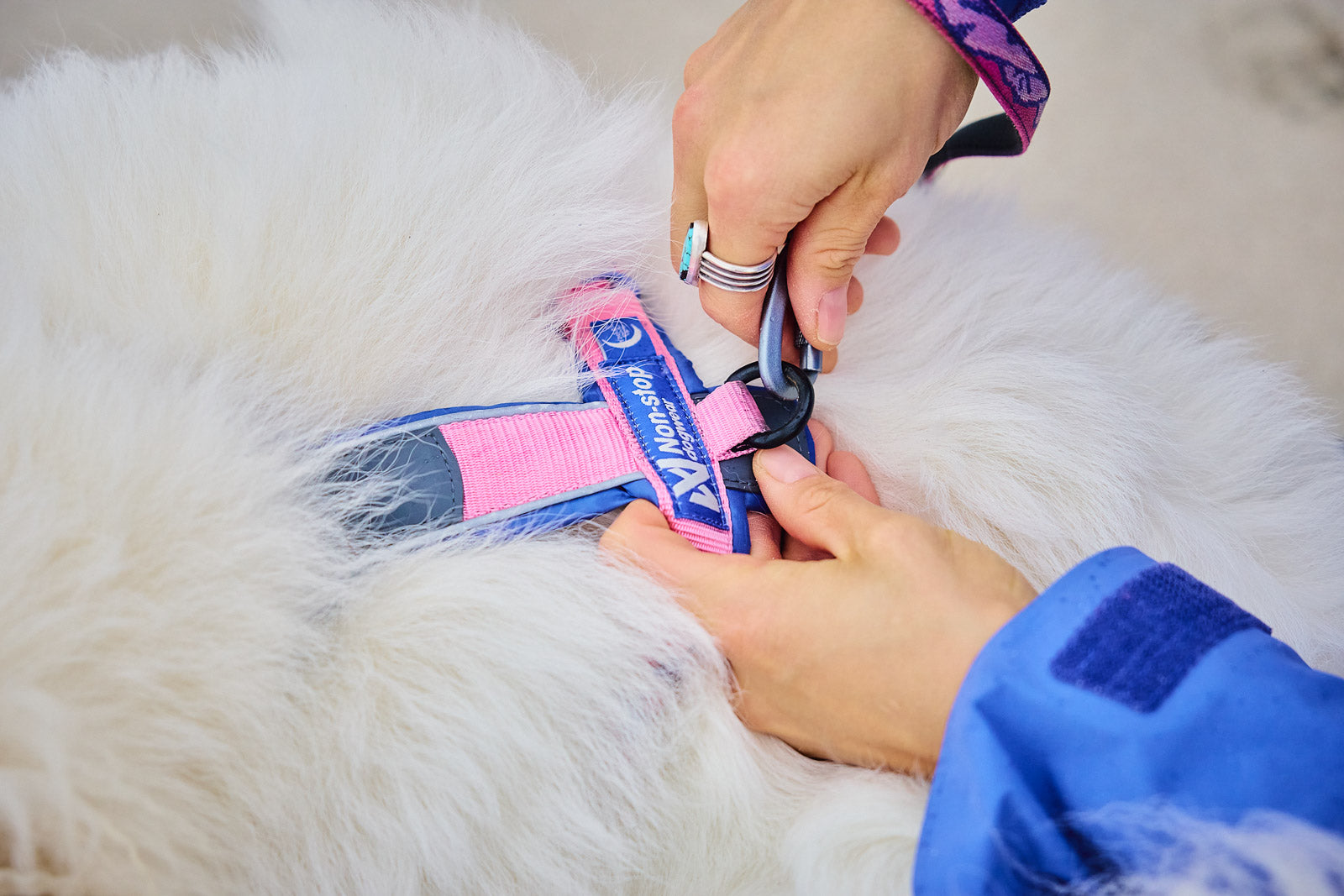 Line harness 5.0 Rachel Pohl edition