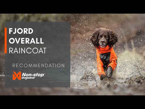 Fjord overall raincoat (6)