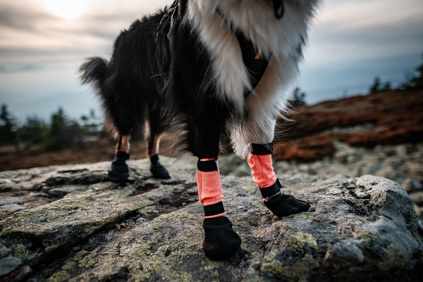 Protector bootie high (2)