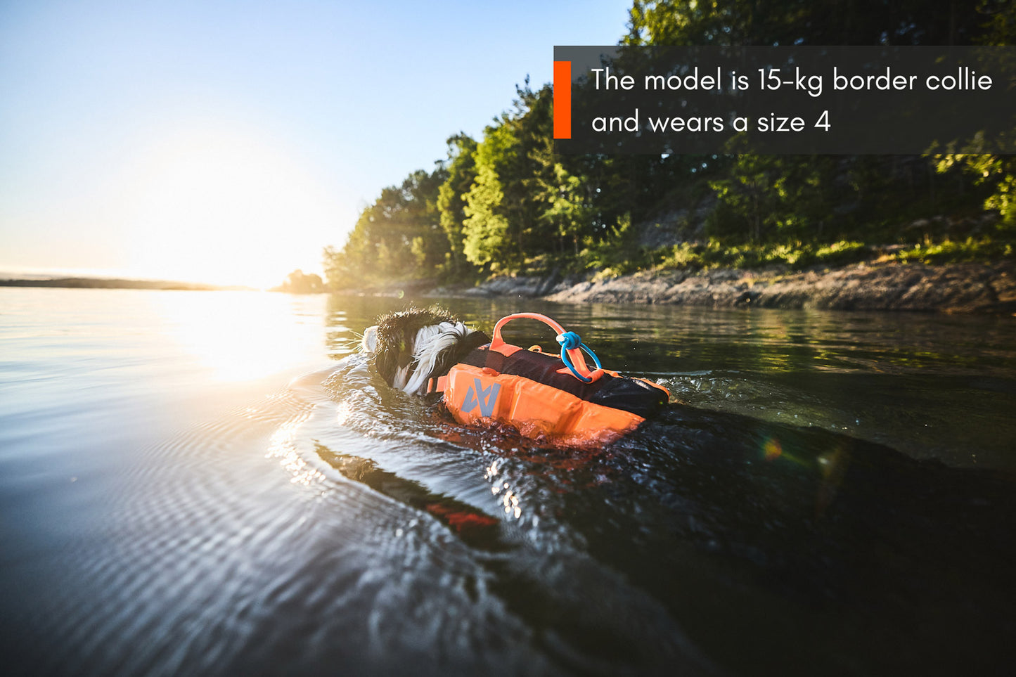 Protector life jacket (5)