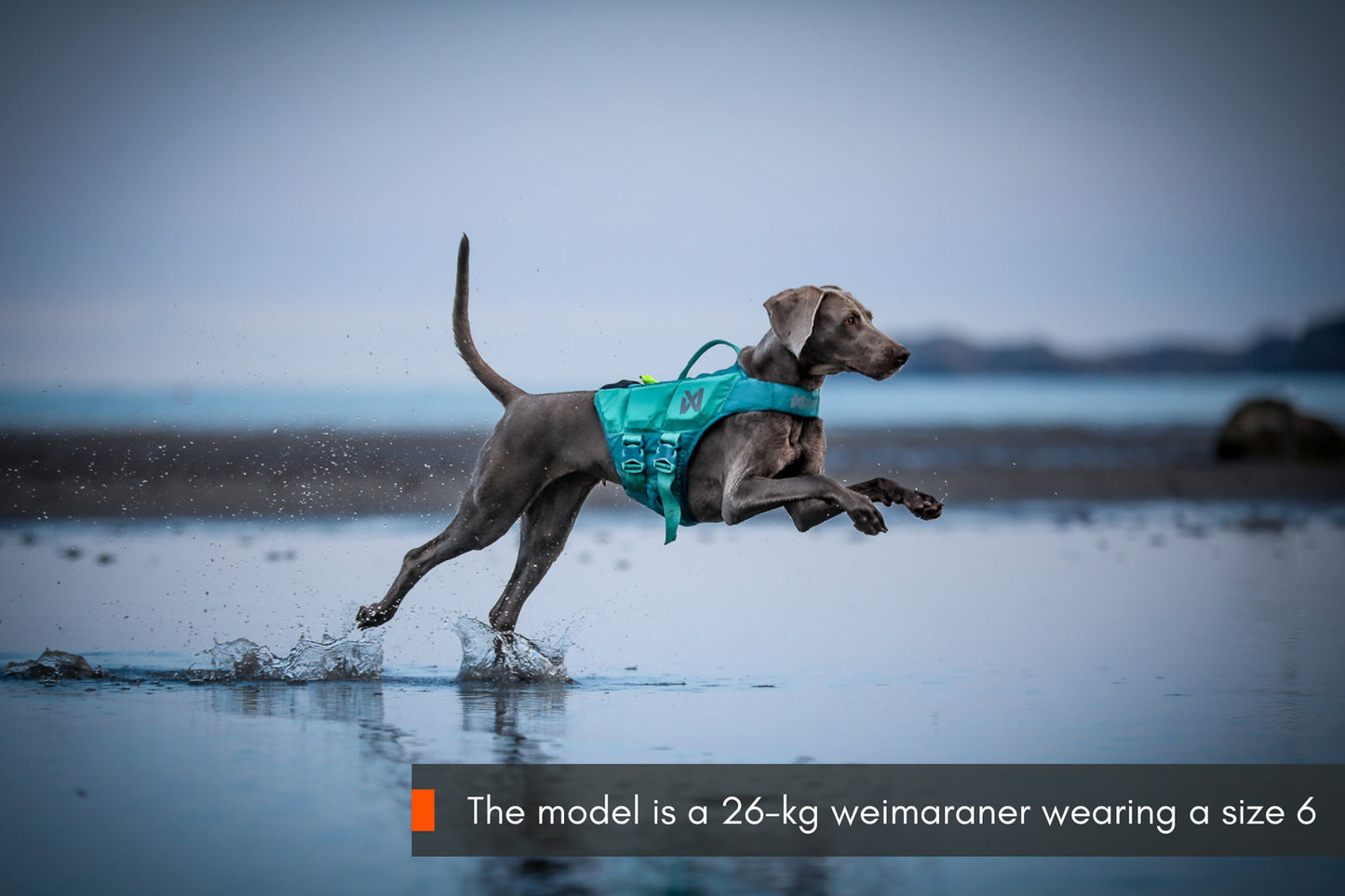 Protector life jacket (3)