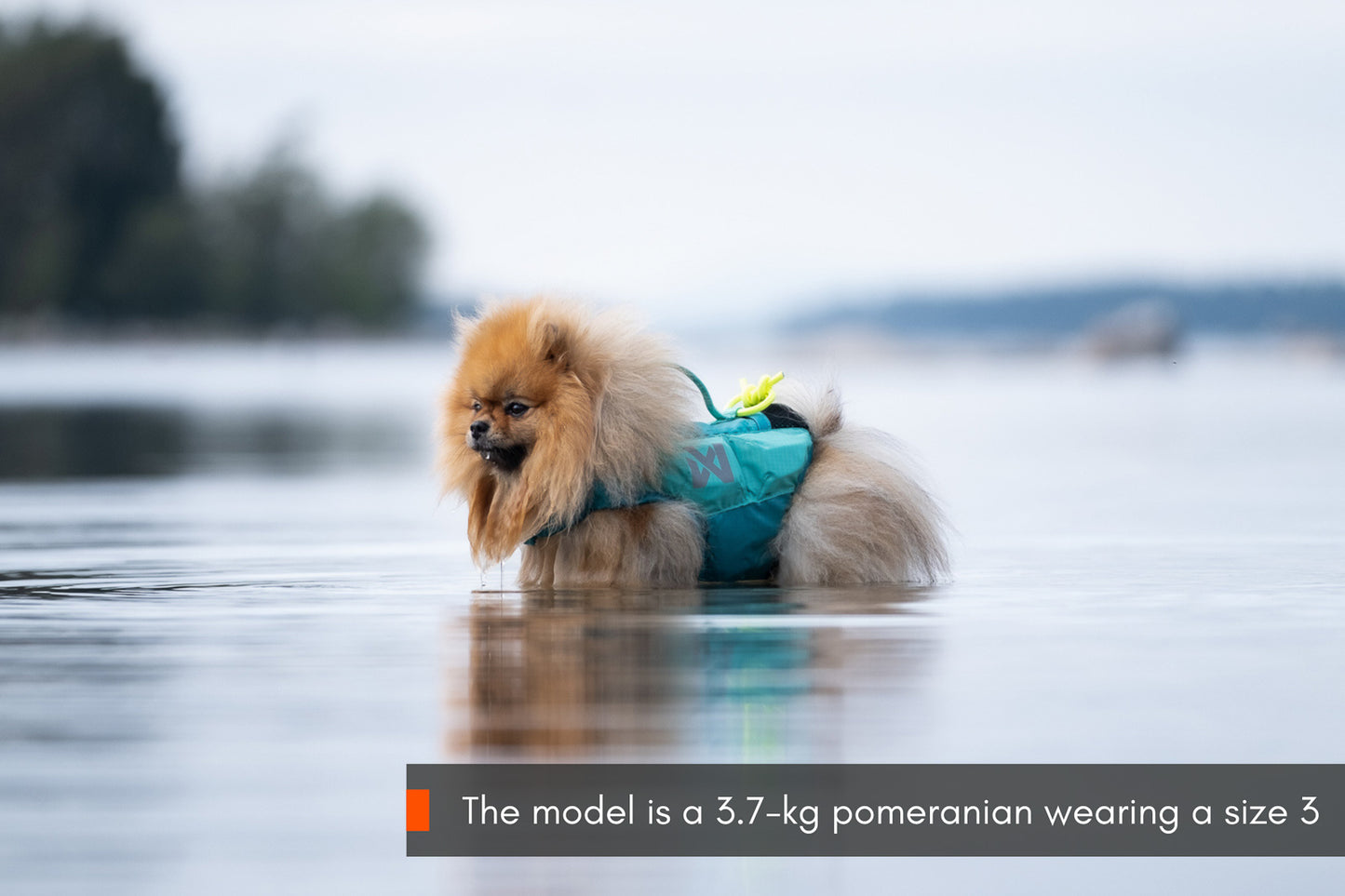 Protector life jacket (4)