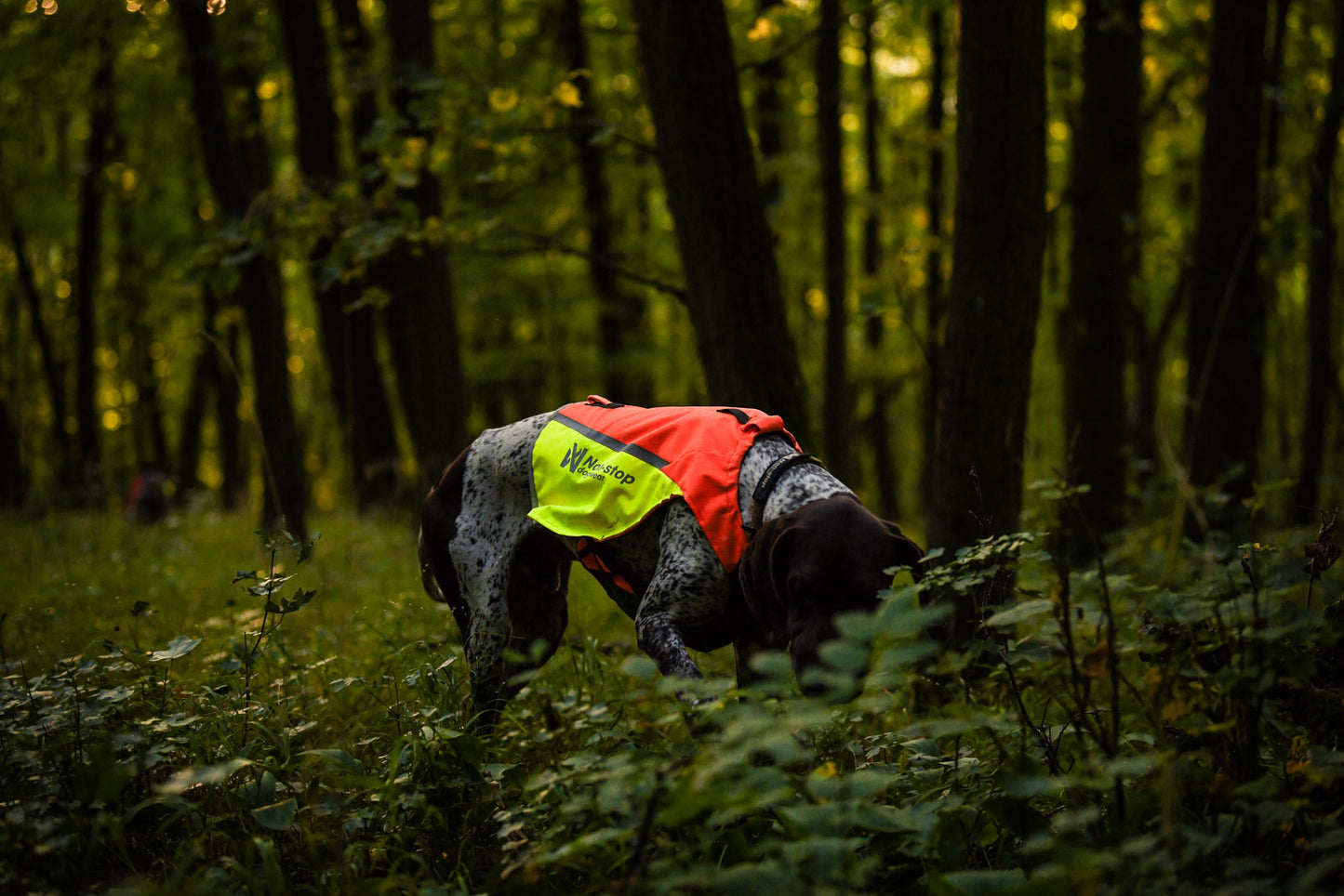 Protector vest 2.0 (2)