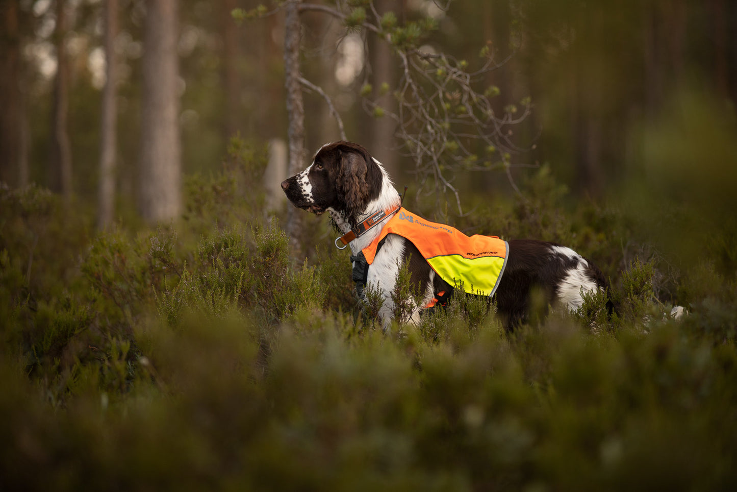 Protector vest (4)