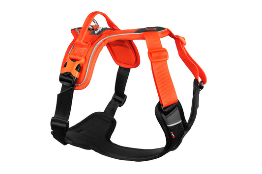Ramble harness (1) & 1826 & 1827 & 1828 & 1829 & 1830
