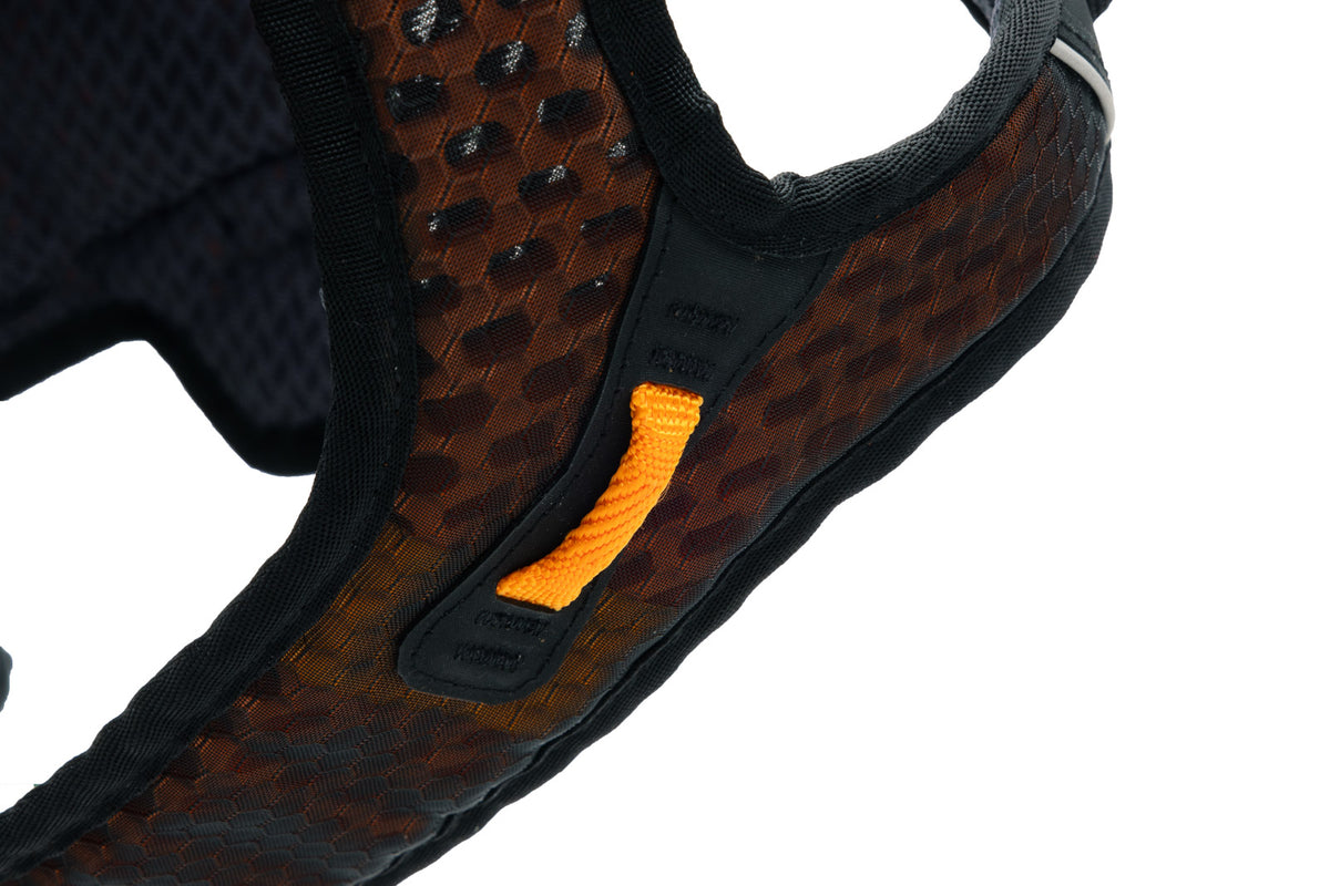 Rock harness long