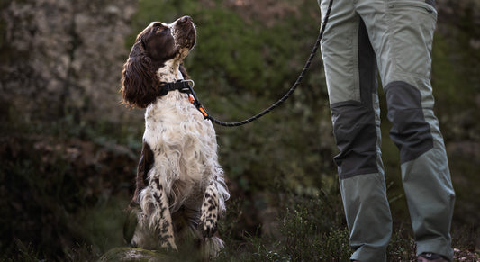 Rock leash (1)