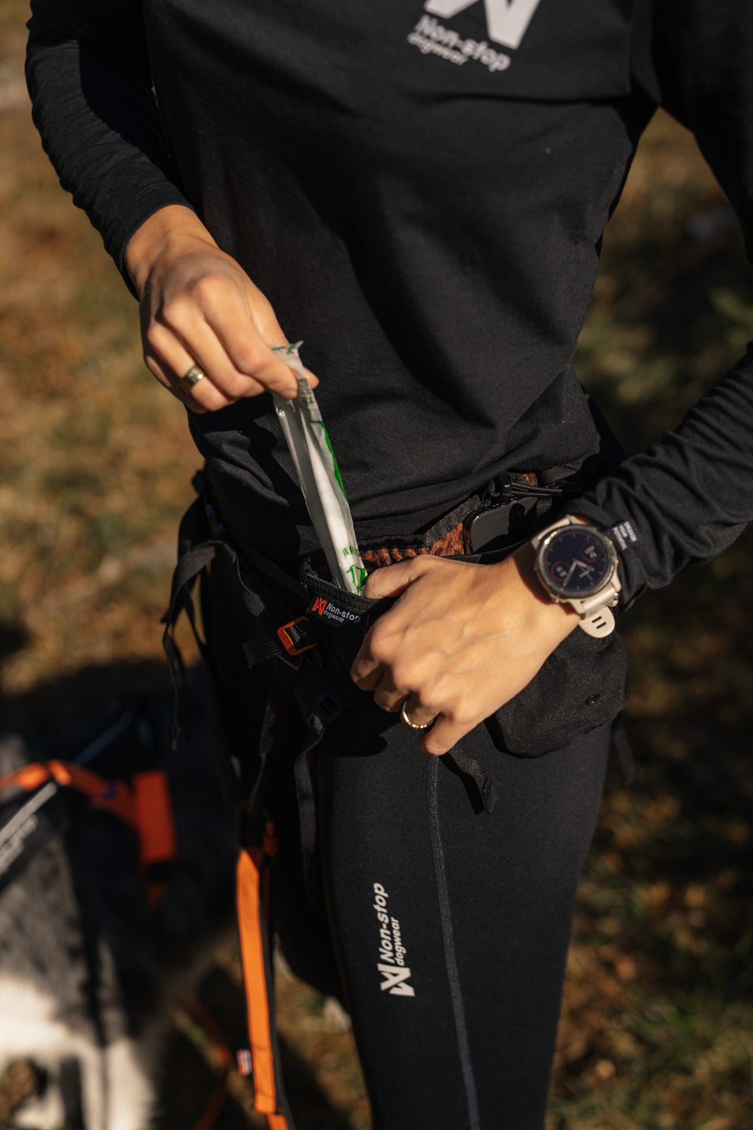 Trail light belt