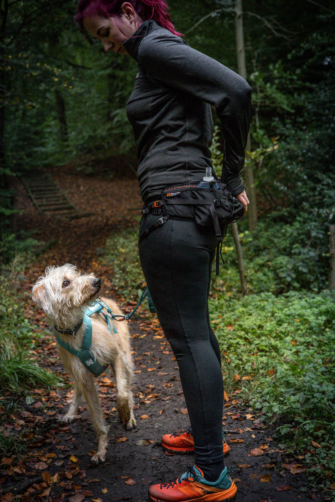 Trail light belt (1)