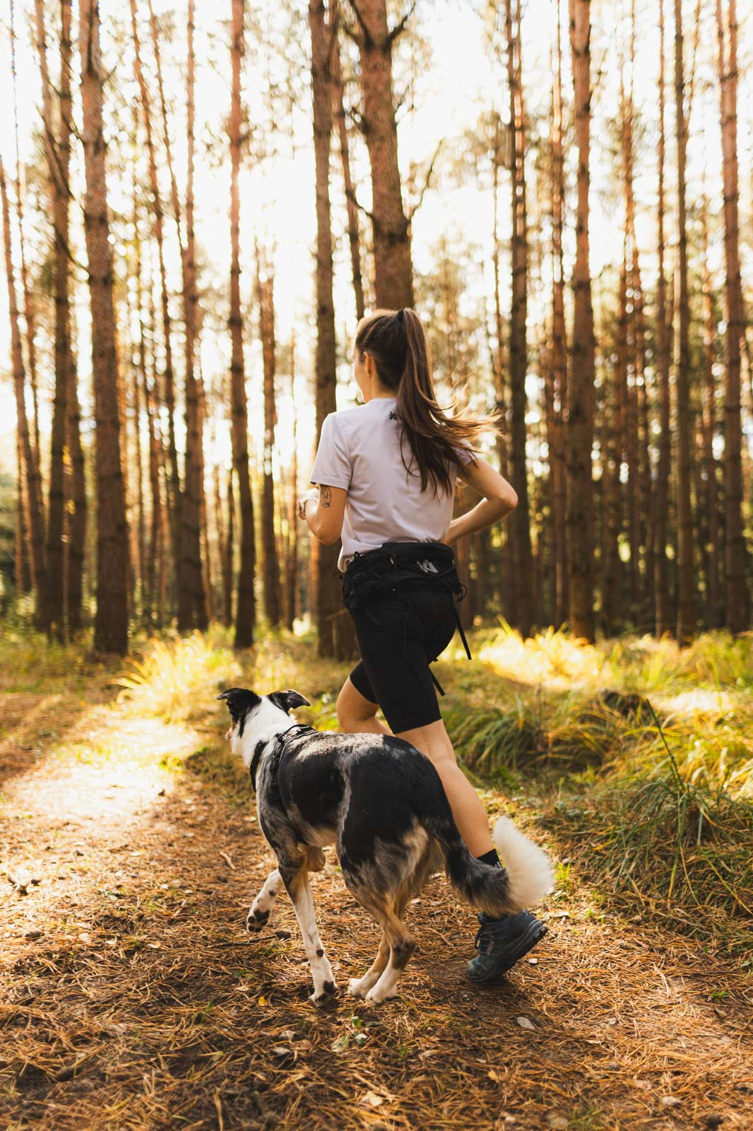 Trail light belt (2)
