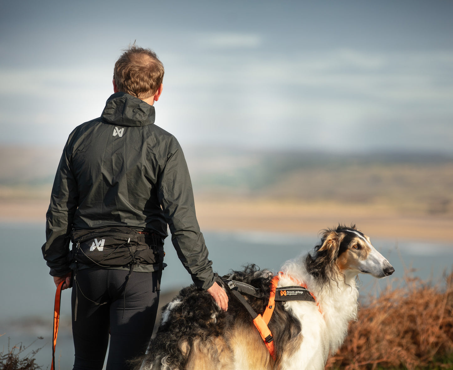 Trail light belt (3)