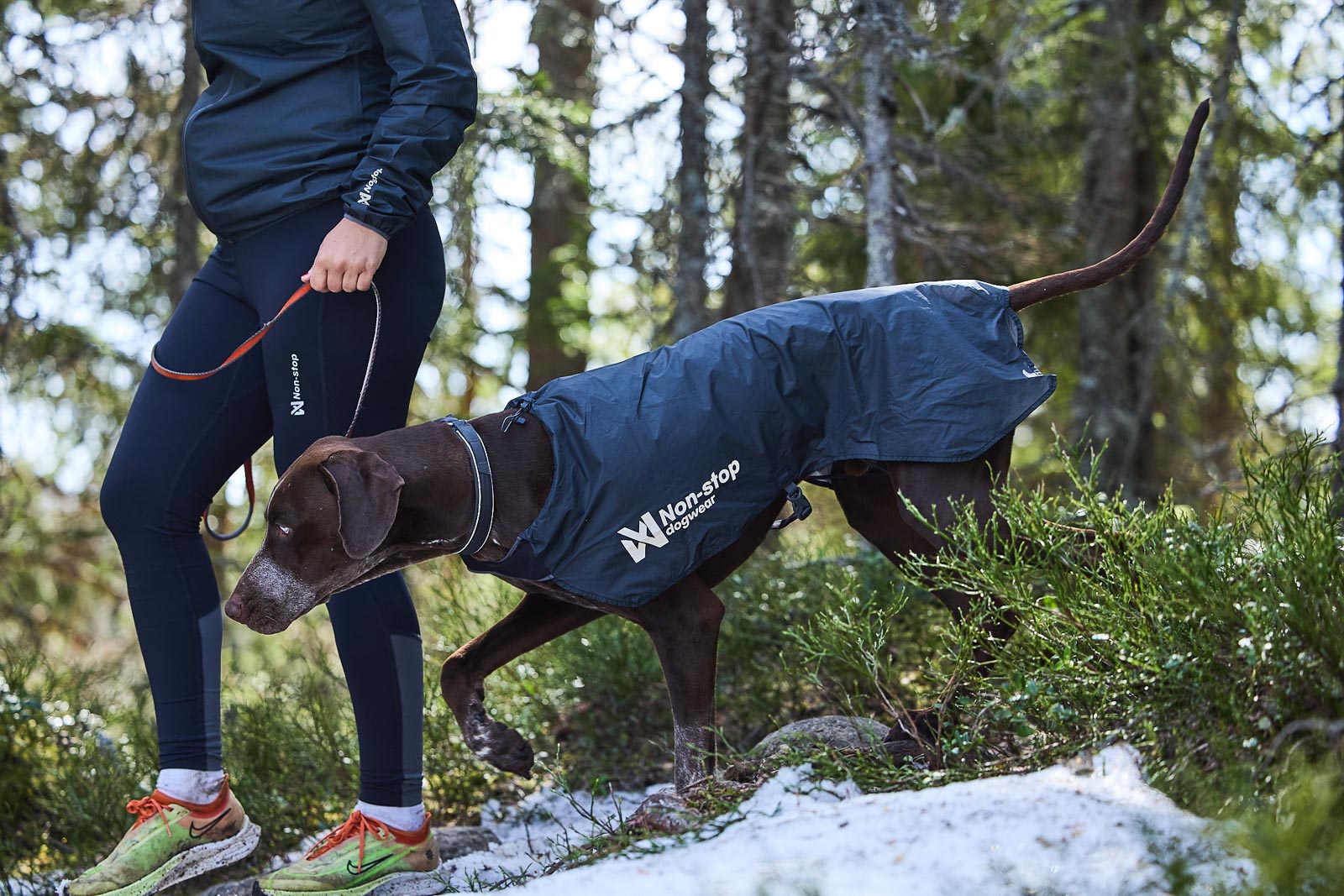 Trail light dog jacket