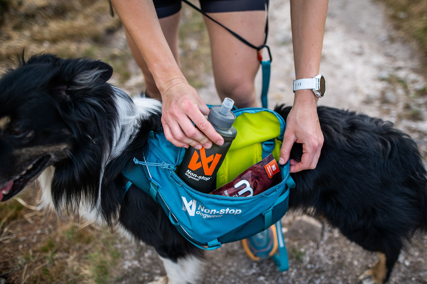 Trail quest dog backpack (3)
