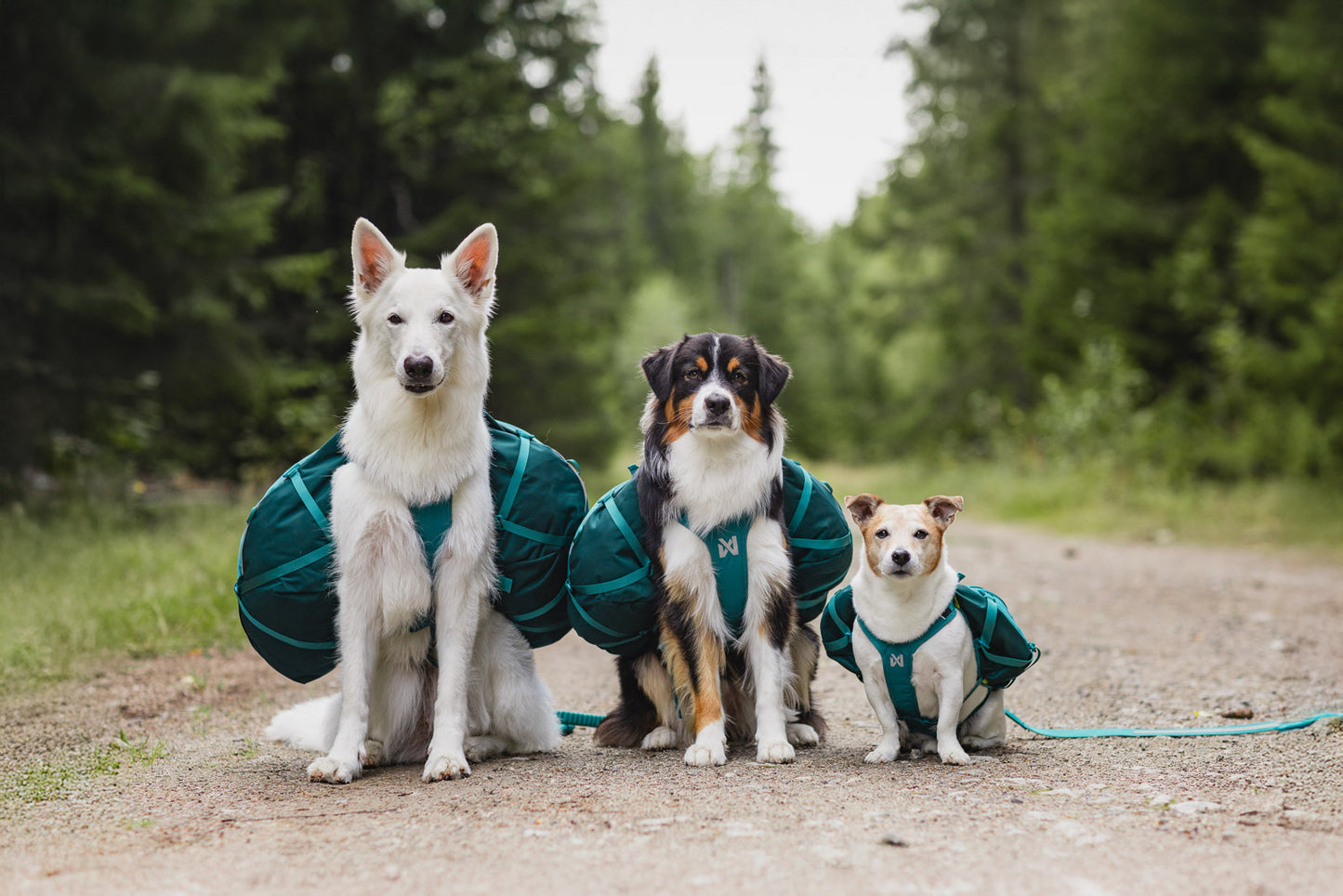 Trail quest dog backpack (3)