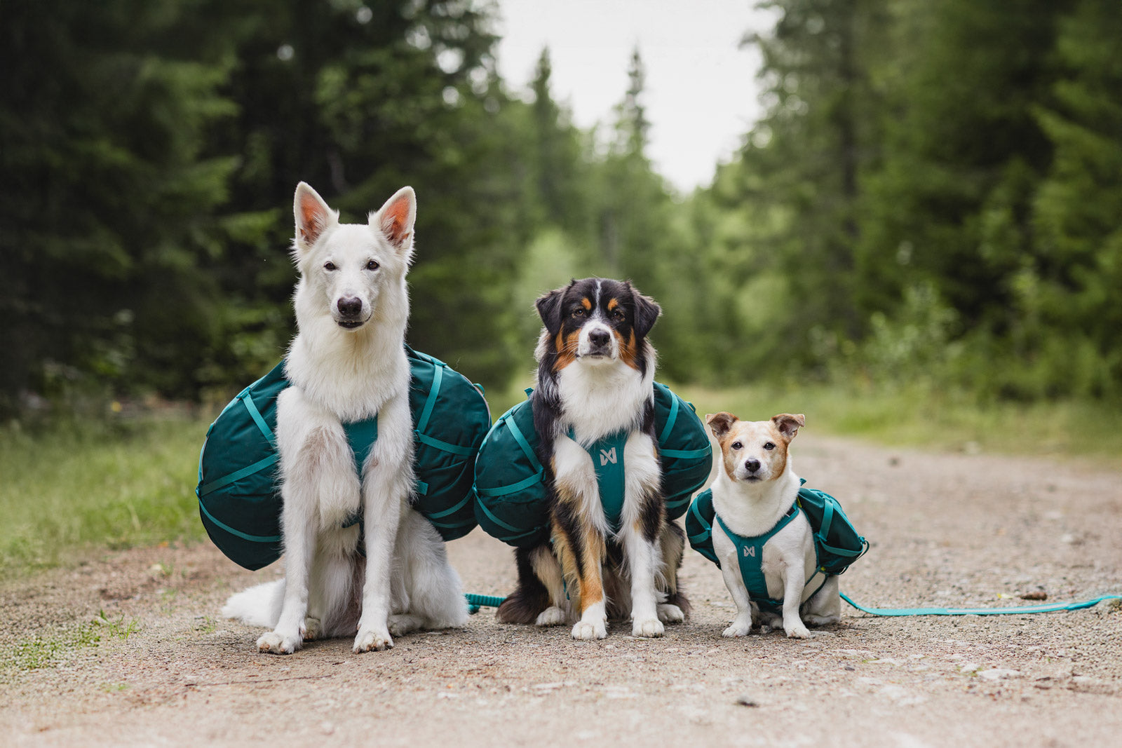 Trail quest dog backpack (3)