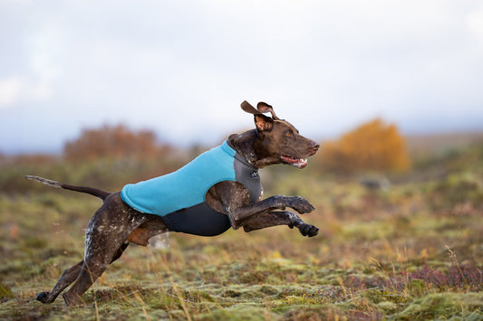 Trail quest fleece pullover (1)