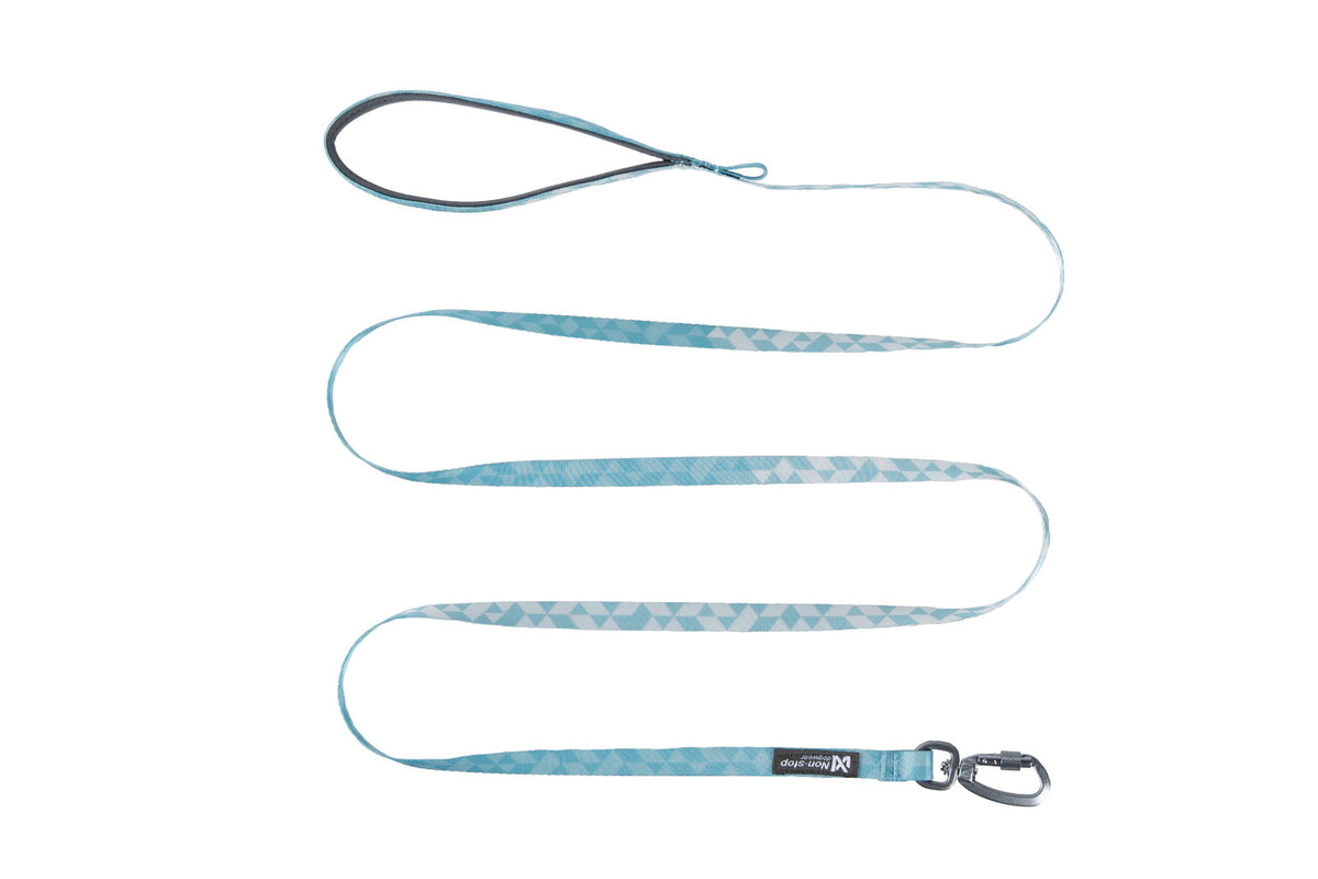 Trail quest leash & 2585