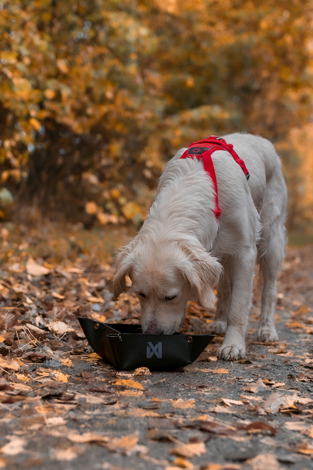 Trekking bowl (3)