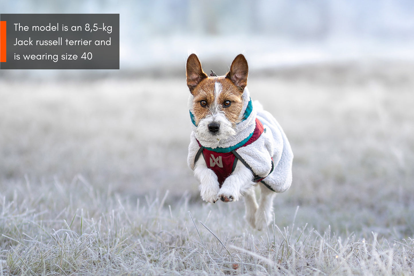 Trekking fleece dog jacket (2)