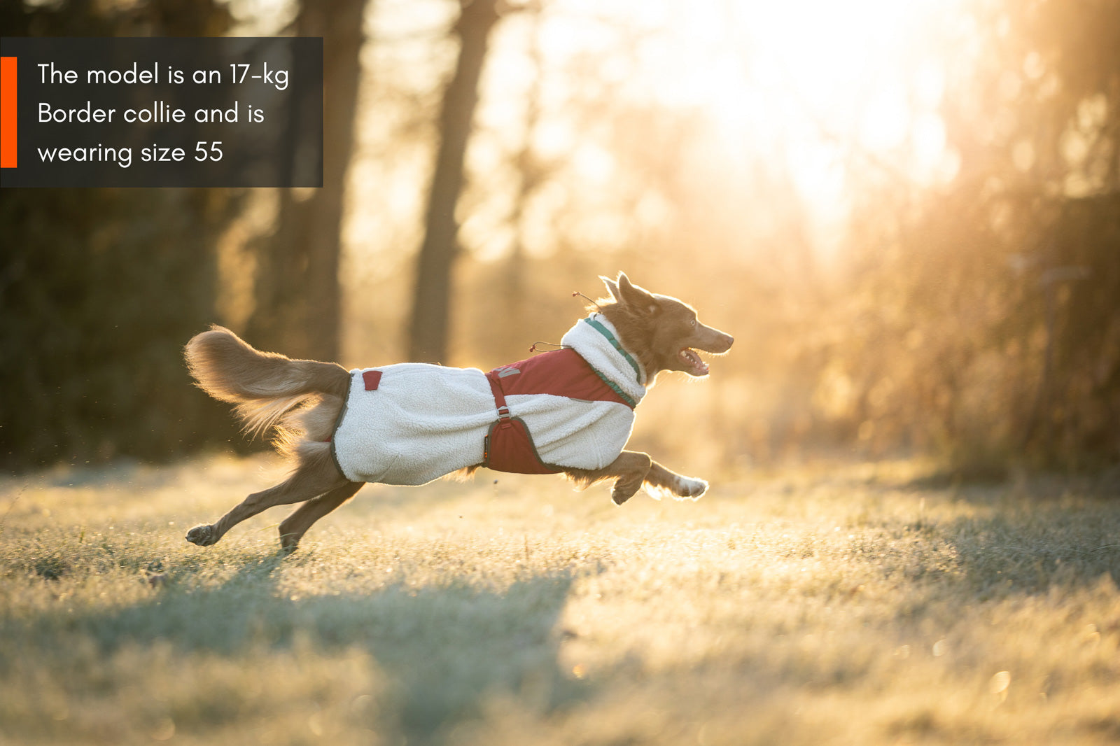 Trekking fleece dog jacket (3)