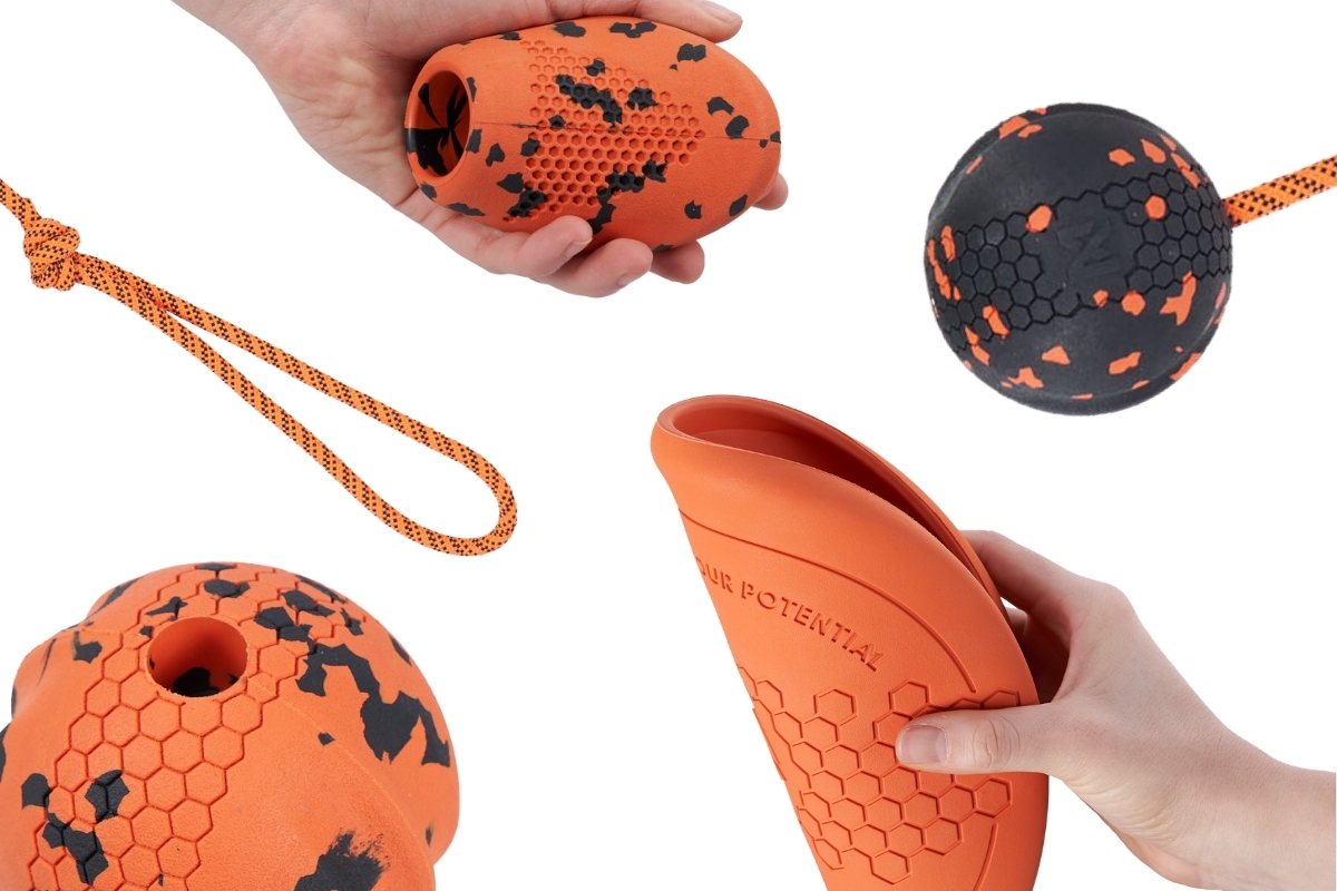 12-enrichment-dog-games