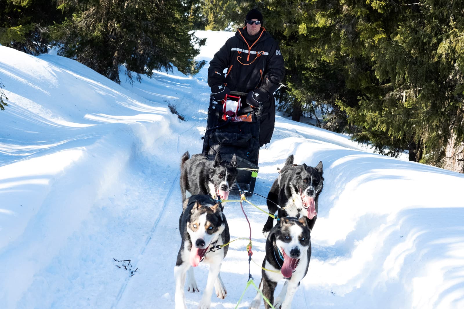 Dallas Seavey
