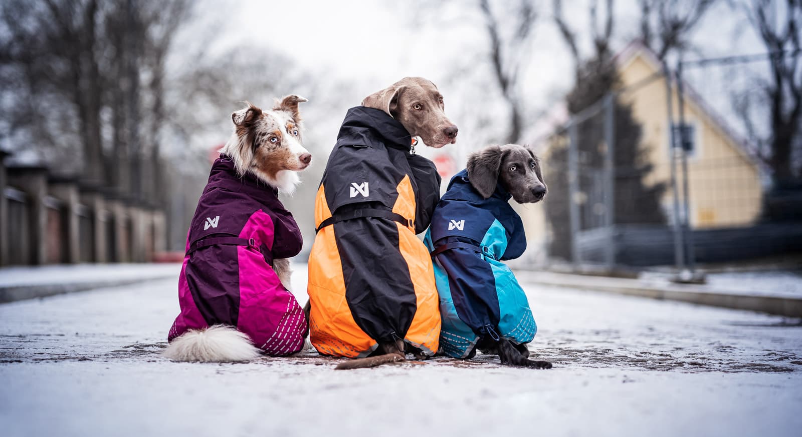 End of season sale