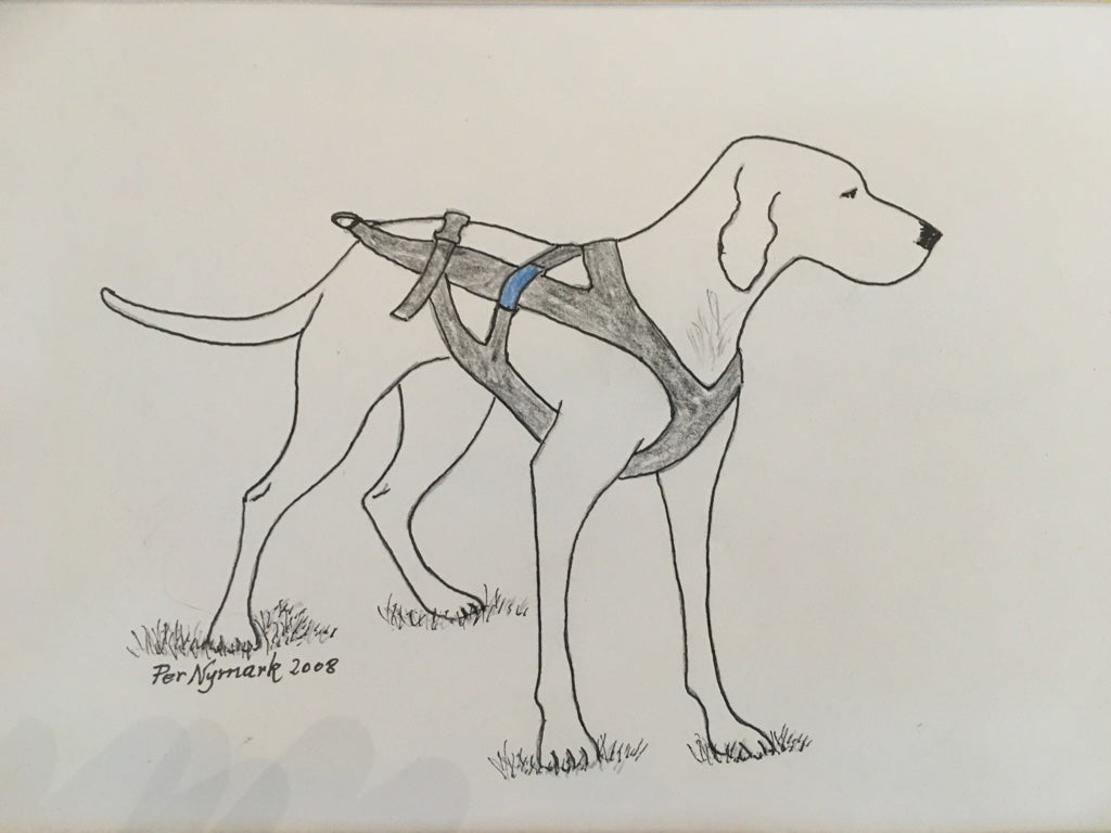 Freemotion harness: The journey from one dog’s need to a global philosophy