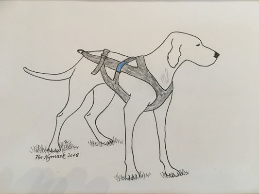 Freemotion harness: The journey from one dog’s need to a global philosophy