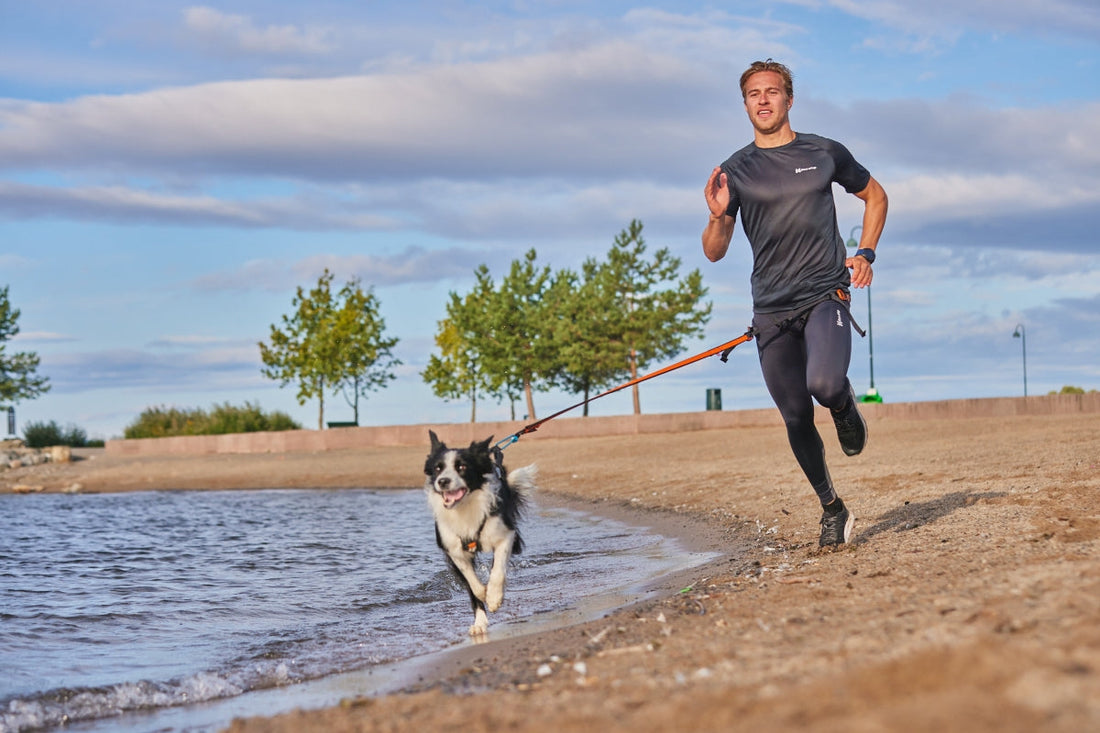 How to get started with canicross?