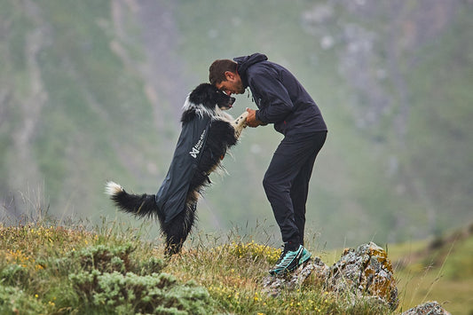 Dogs are the best training buddies!