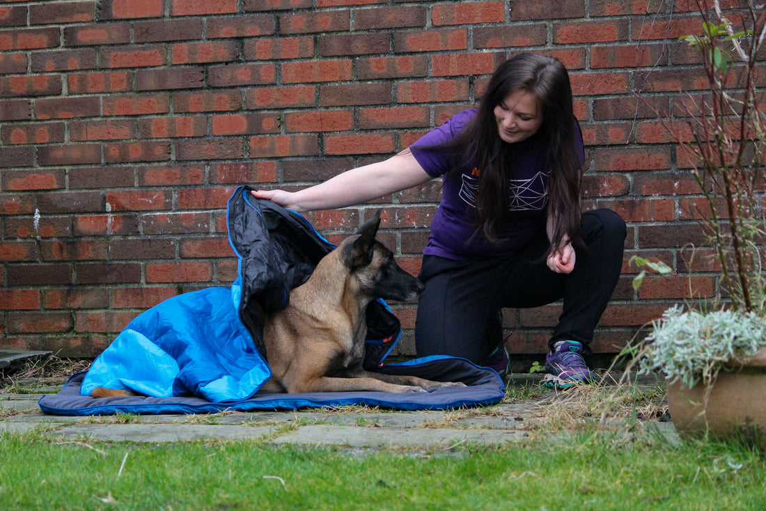 10 steps teaching your dog how to lie in a sleeping bag