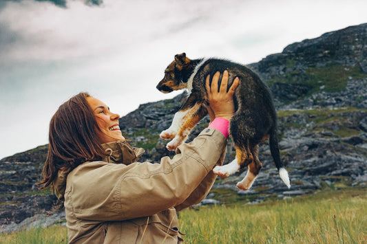 How to raise a confident puppy