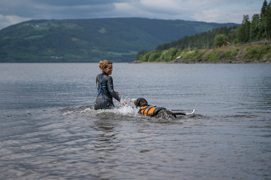 How to teach your dog to swim in 5 steps