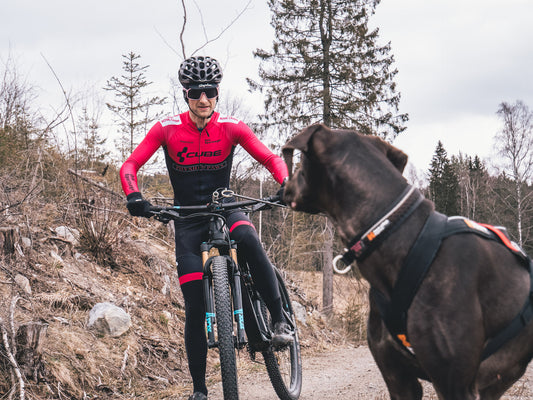 How to keep your competition dog calm and focused in the starting area