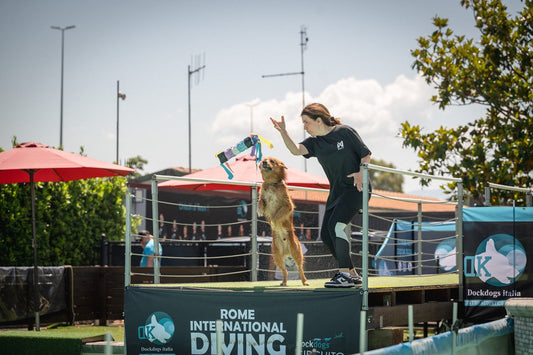 Dock diving jump