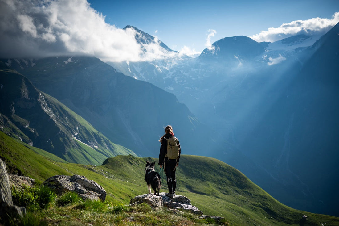 Hiking in mountains with a dog