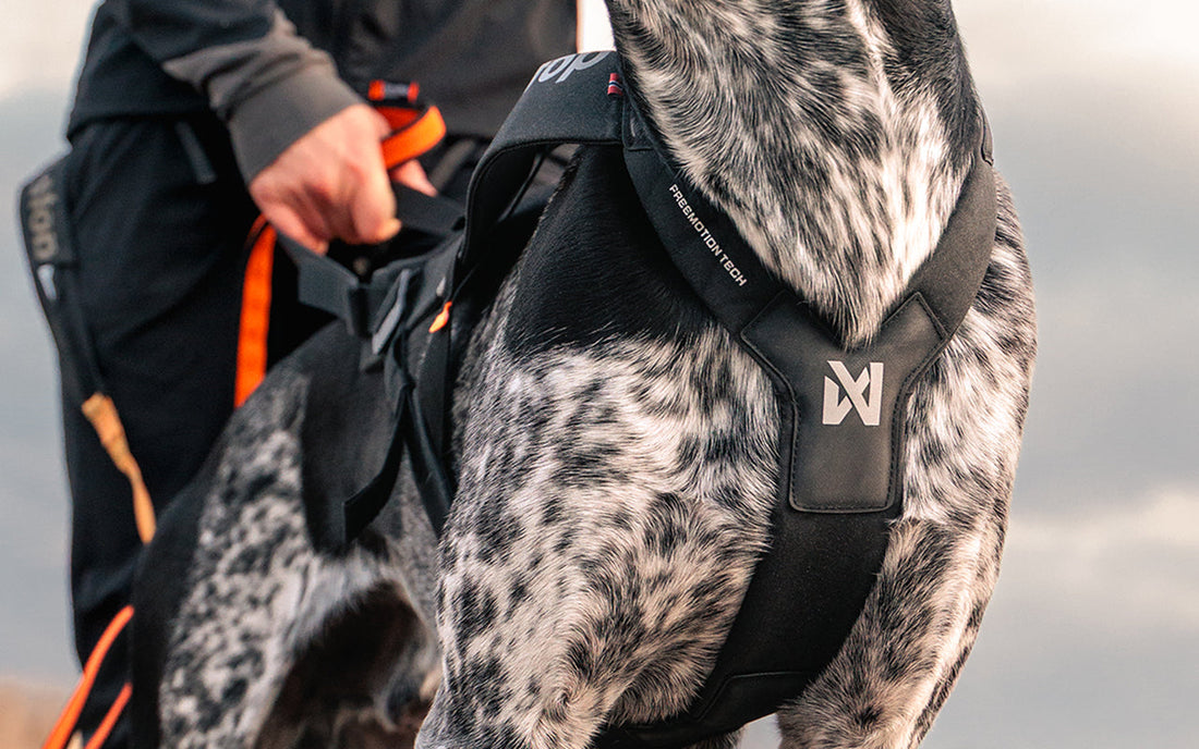 Freemotion harness pro front