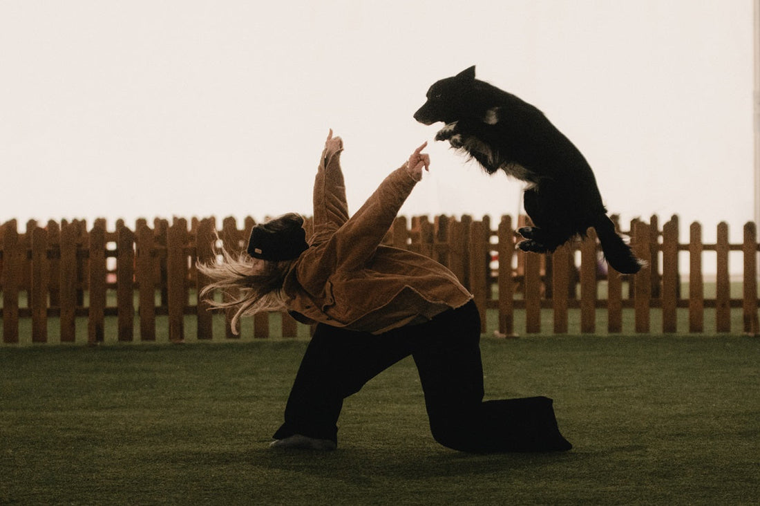 Dog dancing with Roni and Rythm