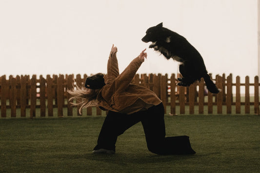 Dog dancing with Roni and Rythm