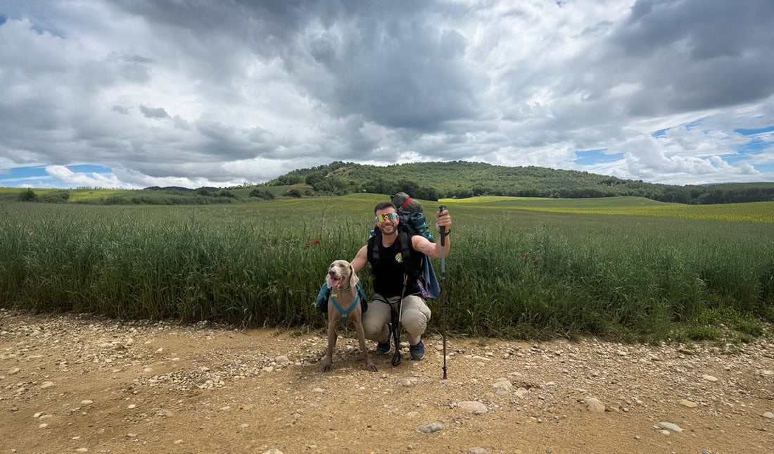 Inigo and Bruma on the Camino de Santiago