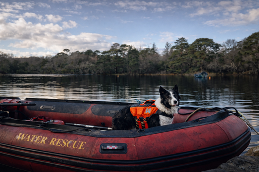 K9 Murphy on a search and rescue boat