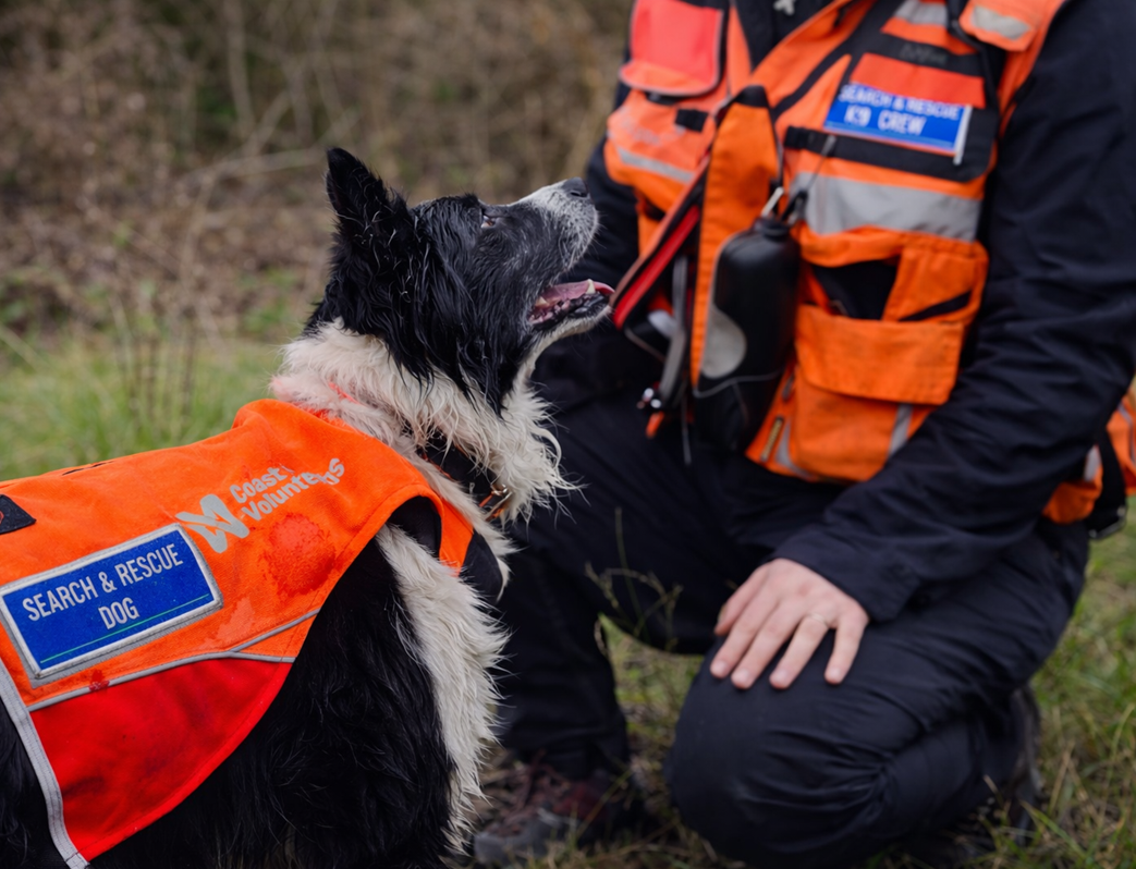 Search and rescue dog Murphy and his handler