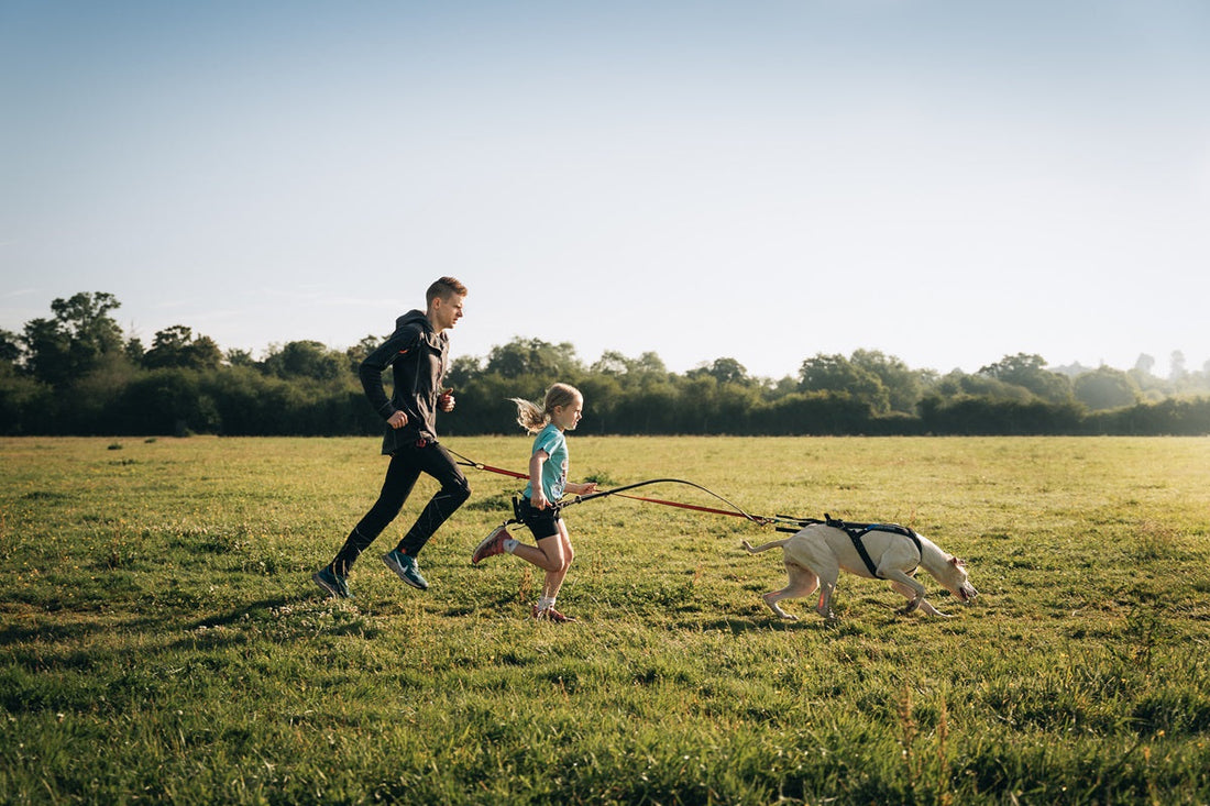 Ben Robinson and his daughter running canicross with a dog