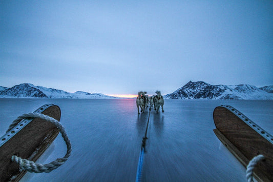 Sledding on ice in Greenland