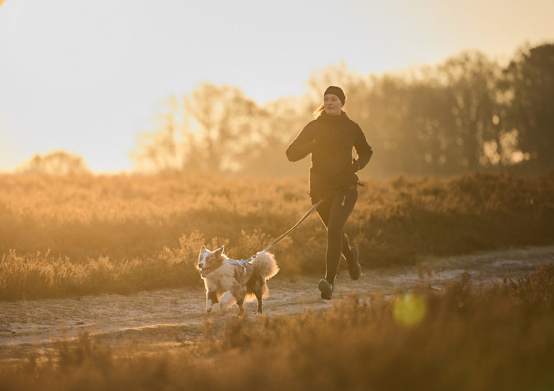 Canicross Couch to 5K training program - Week 3