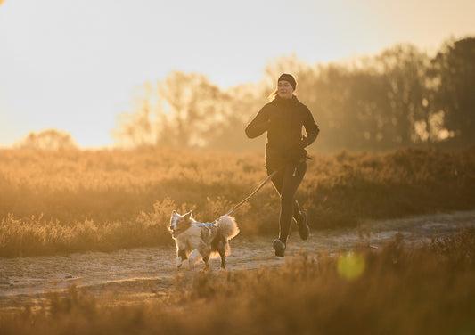 Canicross Couch to 5K training program - Week 3