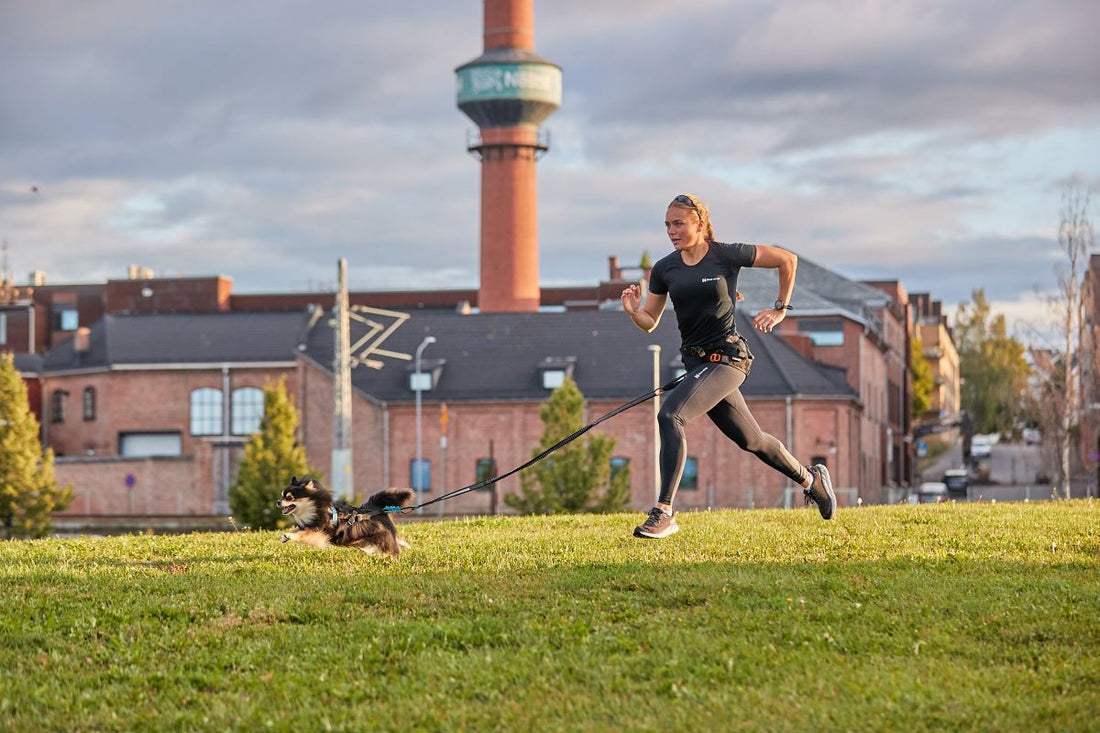Which bungee leash should I choose for activities with my dog?